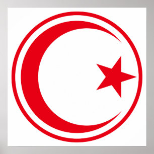Roundel of Tunisian Air Force Poster