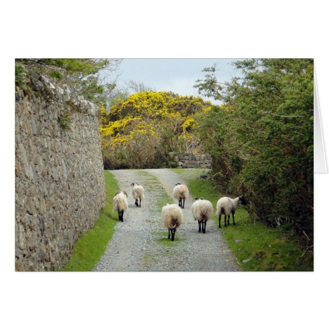 Roundstone Rush Hour (Front Horizontal)