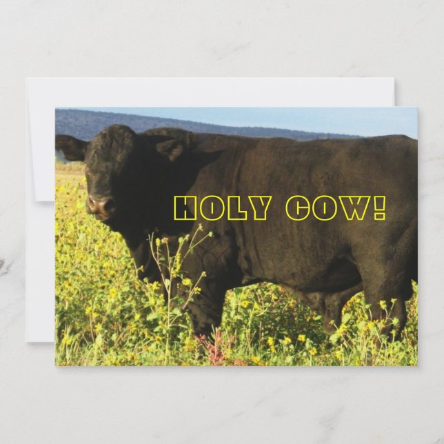 Roundup Time!  Holy Cow - Western Party Invitation (Front)