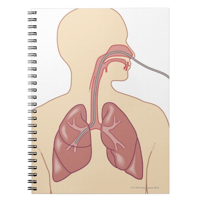 Route of Bronchoscope Spiral Notebook (Front)