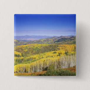 Routt National Forest in Autumn colour, near 15 Cm Square Badge