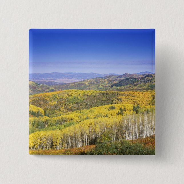 Routt National Forest in Autumn colour, near 15 Cm Square Badge (Front)