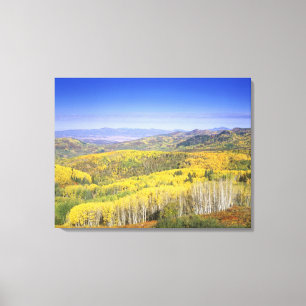 Routt National Forest in Autumn colour, near Canvas Print