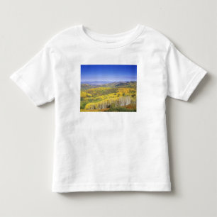 Routt National Forest in Autumn colour, near Toddler T-Shirt