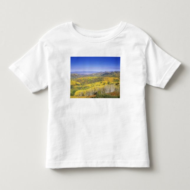 Routt National Forest in Autumn colour, near Toddler T-Shirt (Front)