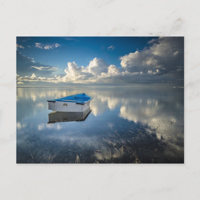 Row Boat On The Water Postcard (Front)