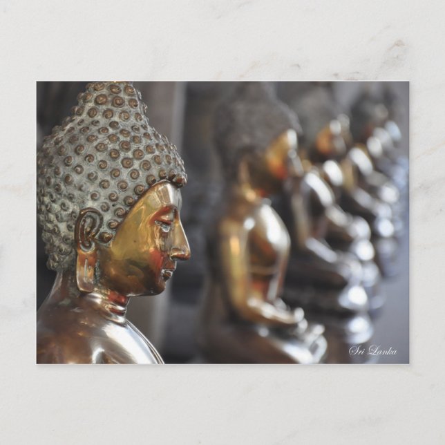 Row of Buddha sculptures Postcard (Front)