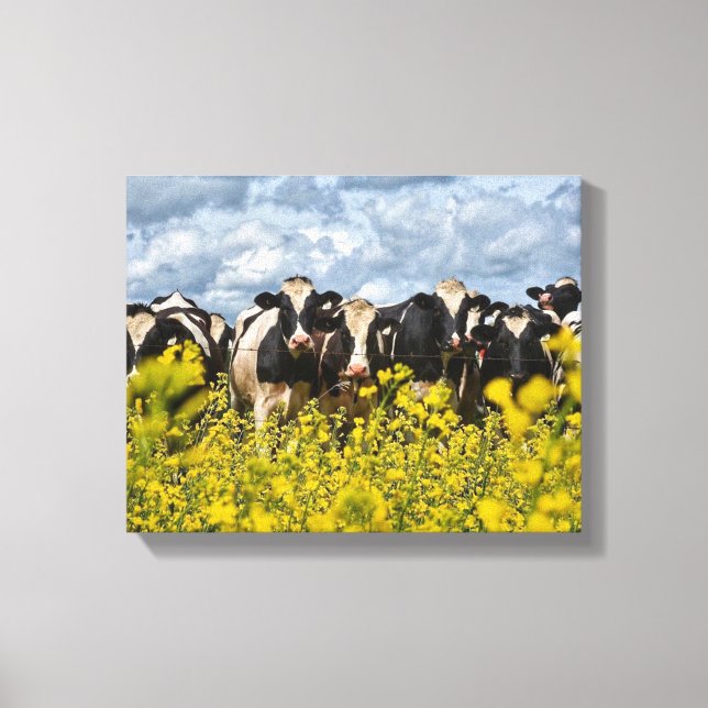 Row of Cows Canvas (Front)