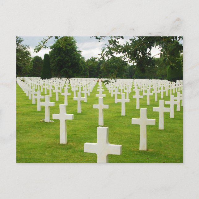 Row of Headstones Arlington National Cemetery Postcard (Front)