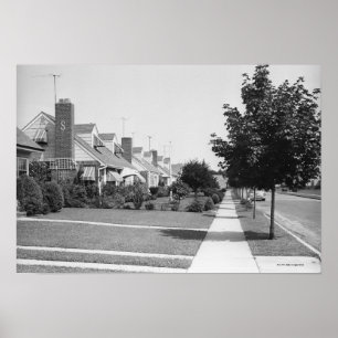 Row of Houses Poster