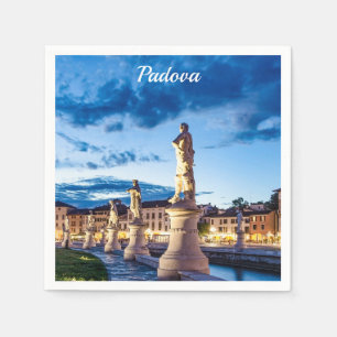 Row of illuminated statues in Padova Napkin