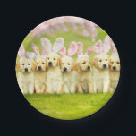 Row of Puppy Bunnies Paper Plate<br><div class="desc">Ready. Set. Easter! | Avanti,  the Global Humor Brand™ has been entertaining the world with its Feel Good Funny greeting cards for over 40 years. Our characters live life to the fullest and celebrate the humor in everyday life.</div>