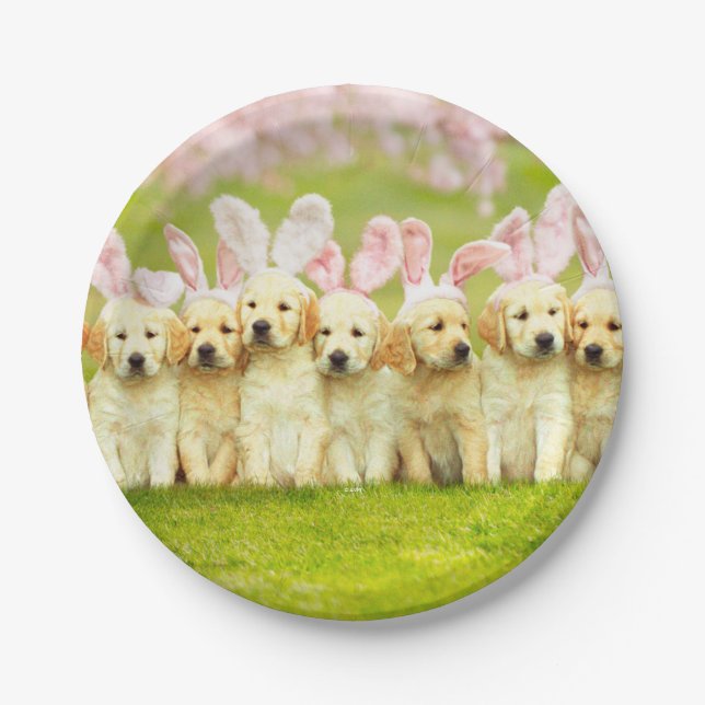 Row of Puppy Bunnies Paper Plate (Front)