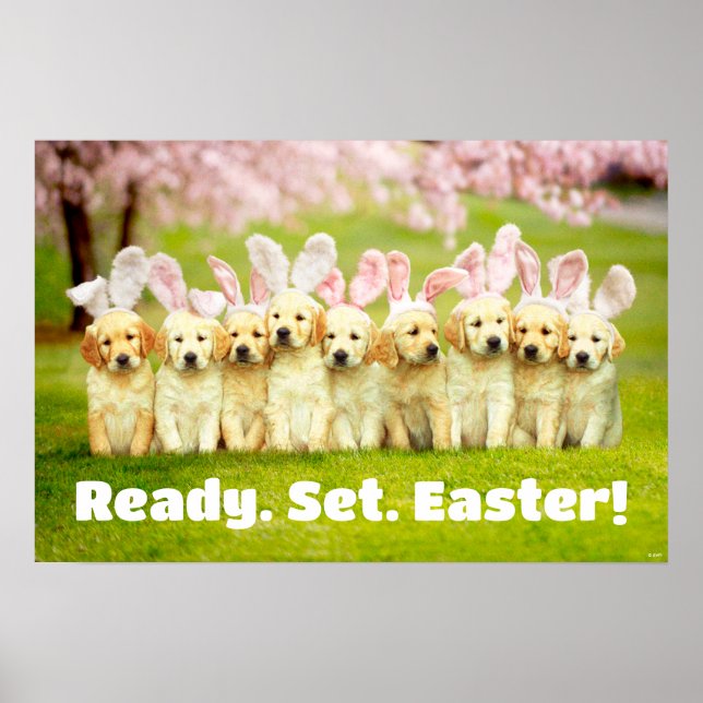 Row of Puppy Bunnies Poster (Front)
