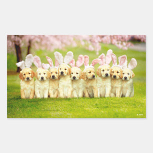 Row of Puppy Bunnies Rectangular Sticker