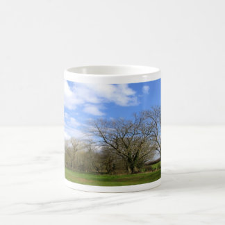 row of trees coffee mug