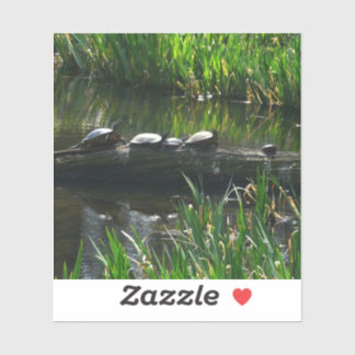 Row of Turtles Green Nature Photo
