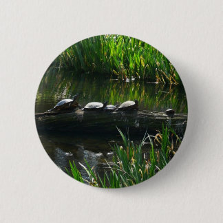 Row of Turtles Green Nature Photo 6 Cm Round Badge