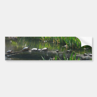 Row of Turtles Green Nature Photo Bumper Sticker