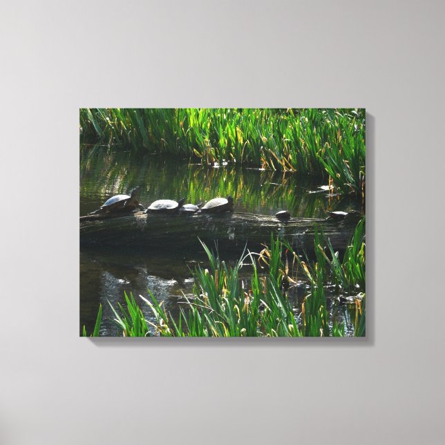 Row of Turtles Green Nature Photo Canvas Print (Front)