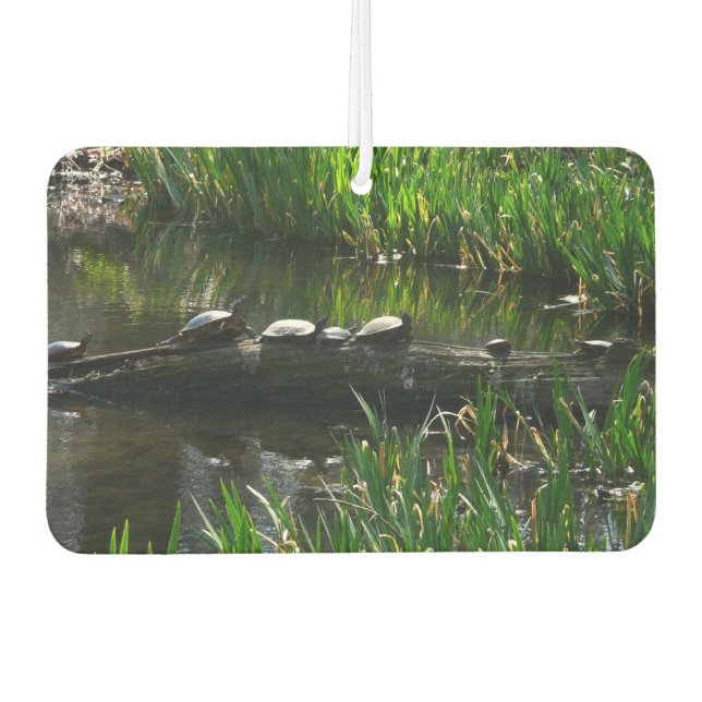 Row of Turtles Green Nature Photo Car Air Freshener (Front)