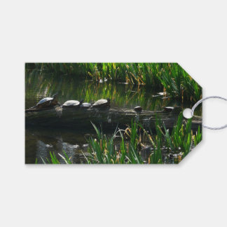 Row of Turtles Green Nature Photo Gift Tags
