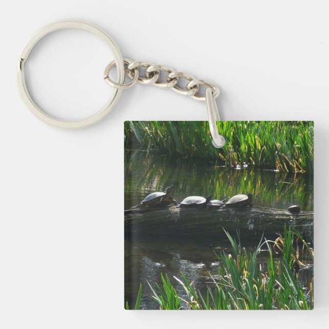 Row of Turtles Green Nature Photo Key Ring (Front)