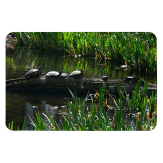 Row of Turtles Green Nature Photo Magnet