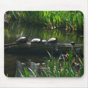 Row of Turtles Green Nature Photo Mouse Pad