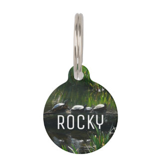 Row of Turtles Green Nature Photo Pet Tag