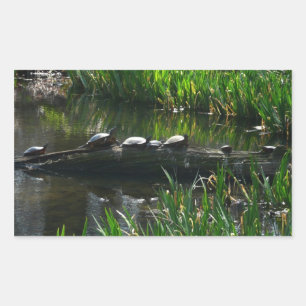 Row of Turtles Green Nature Photo Rectangular Sticker