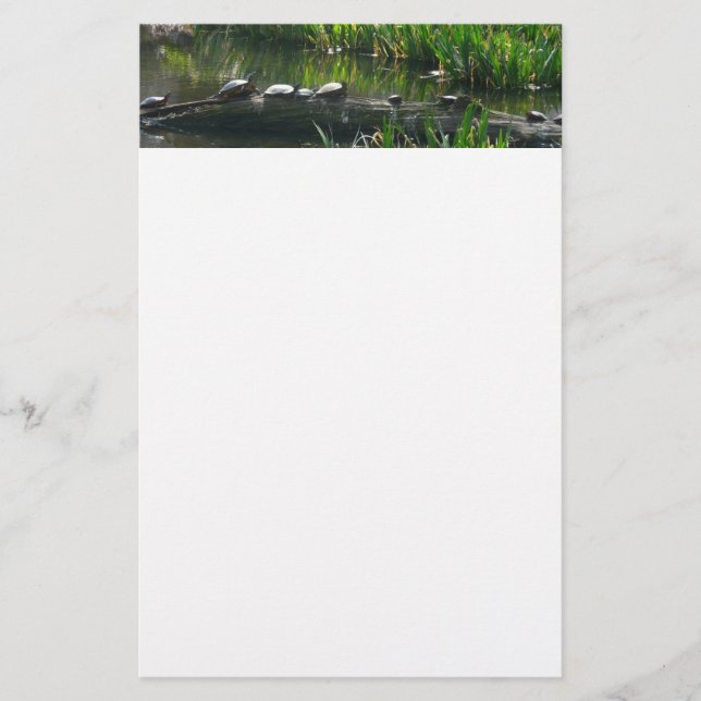 Row of Turtles Green Nature Photo Stationery (Front)