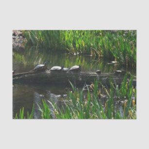 Row of Turtles Green Nature Photo Tissue Paper