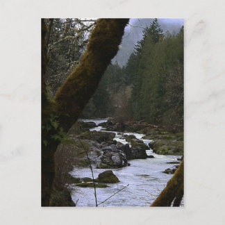 Row River Rapids Postcard