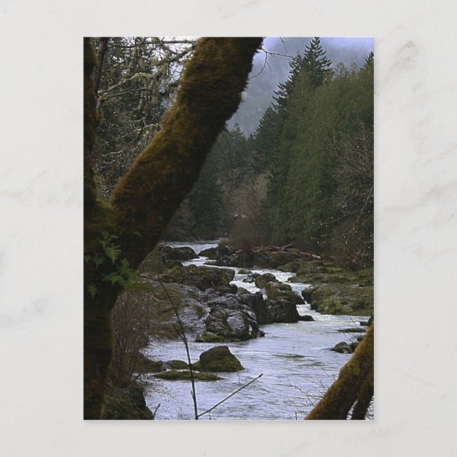 Row River Rapids Postcard (Front)