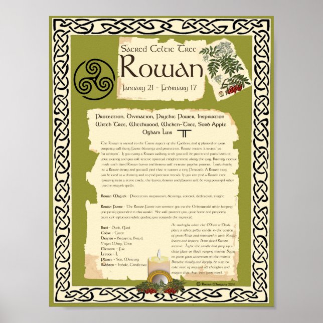 ROWAN CELTIC SACRED TREE POSTER (Front)