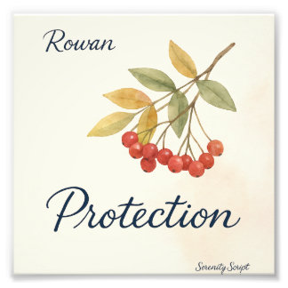 Rowan — Protection | Serenity Script Collection Photo Print