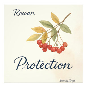 Rowan — Protection   Serenity Script Collection Photo Print