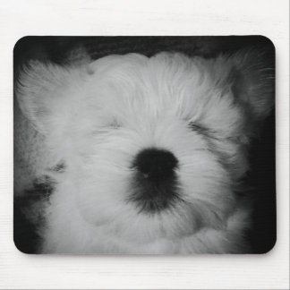 Rowdy the Maltipoo Puppy Mouse Pad