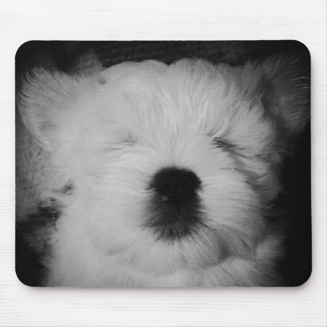 Rowdy the Maltipoo Puppy Mouse Pad (Front)