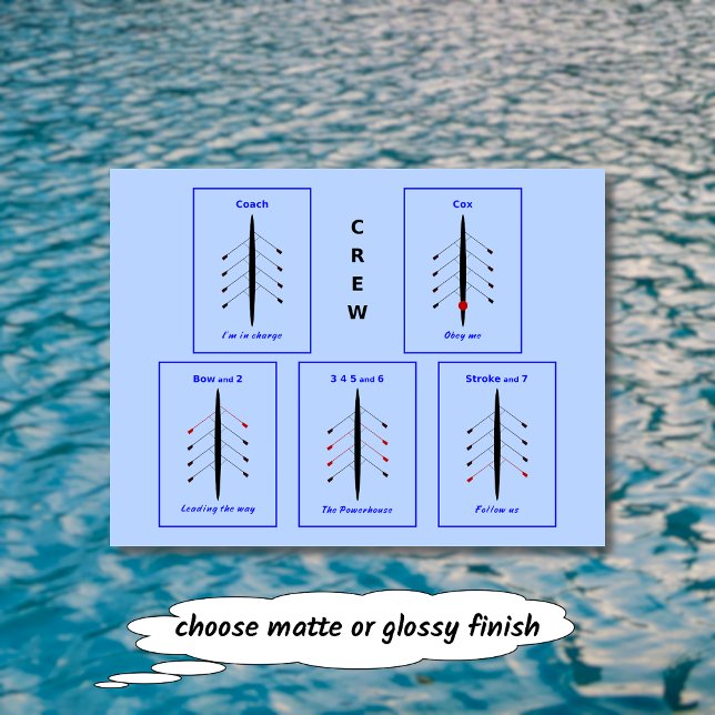 rowing crew positions blue sport postcard (Creator Uploaded)