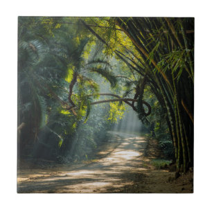 Rows of Bamboo Tile