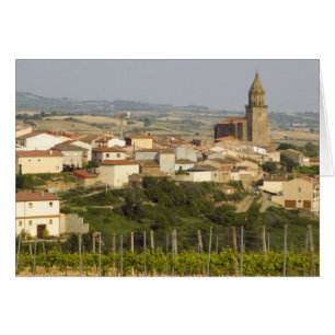 Rows of grape vines in the foreground frame the