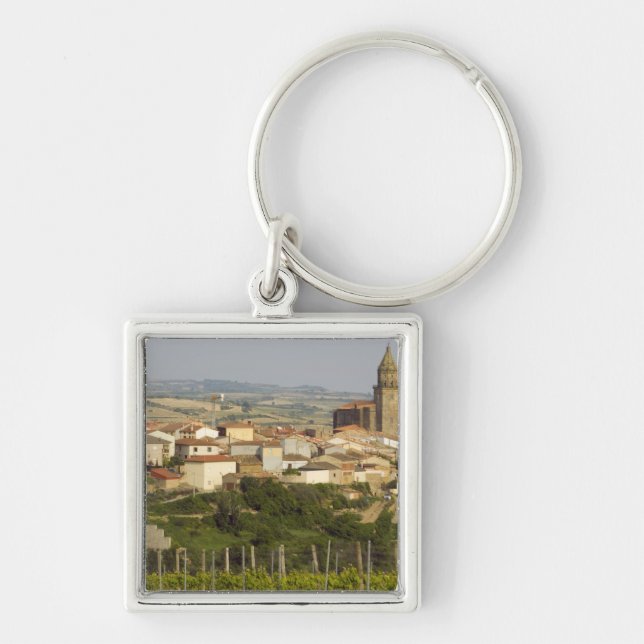 Rows of grape vines in the foreground frame the key ring (Front)