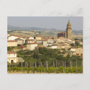 Rows of grape vines in the foreground frame the postcard