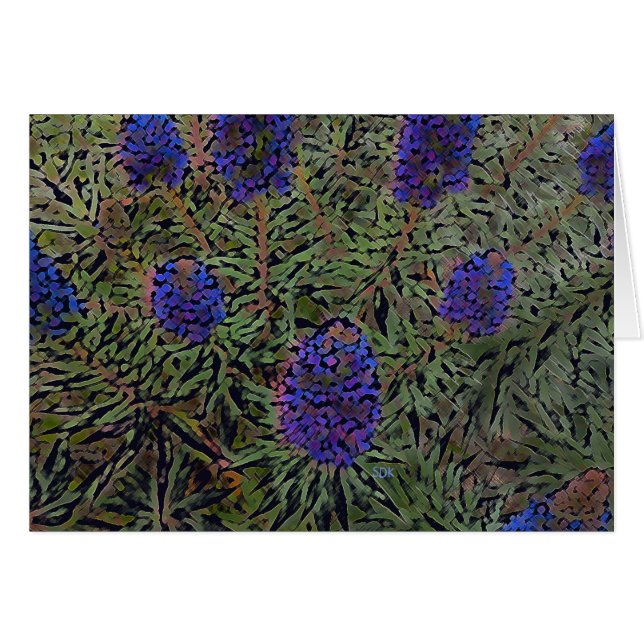Rows of Lavender (Front Horizontal)