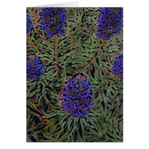 Rows of Lavender