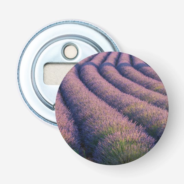 Rows of lavender in Provence Bottle Opener (Front)