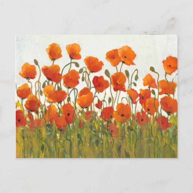 Rows of Poppies I Postcard (Front)
