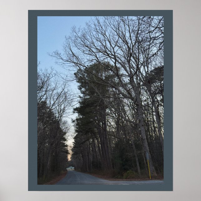 Rows of Trees Poster (Front)